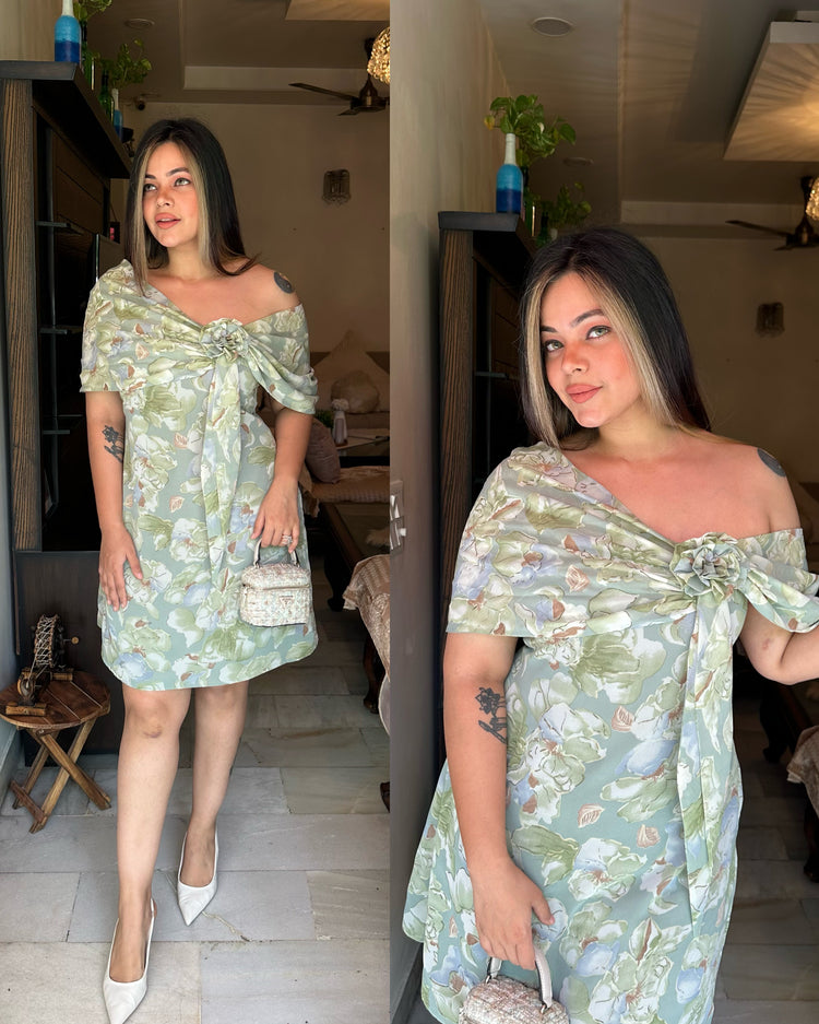 Pista printed rose dress