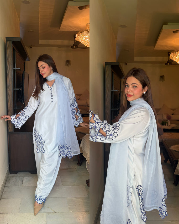 Powder blue embroidered stitched suit