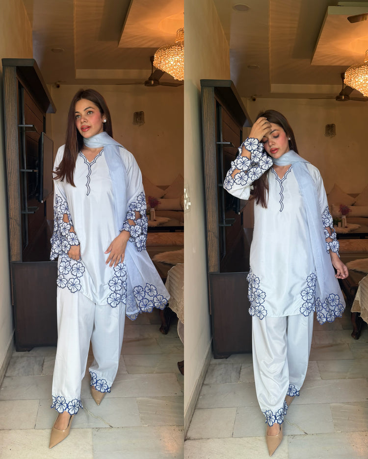 Powder blue embroidered stitched suit